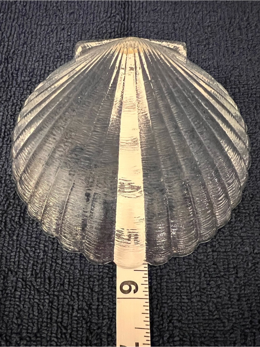Clear Glass Scallop Shell Dish/Apps Plate Set (Set of 8) - Like New - Picture 6 of 6